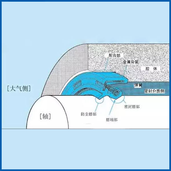 油封截面 油封截面
