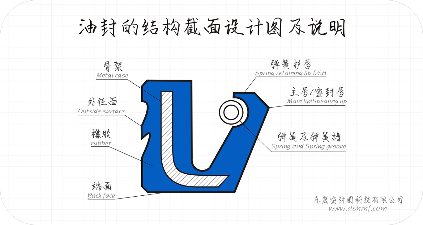 油封截面結(jié)構(gòu)解剖圖 油封截面結(jié)構(gòu)解剖圖