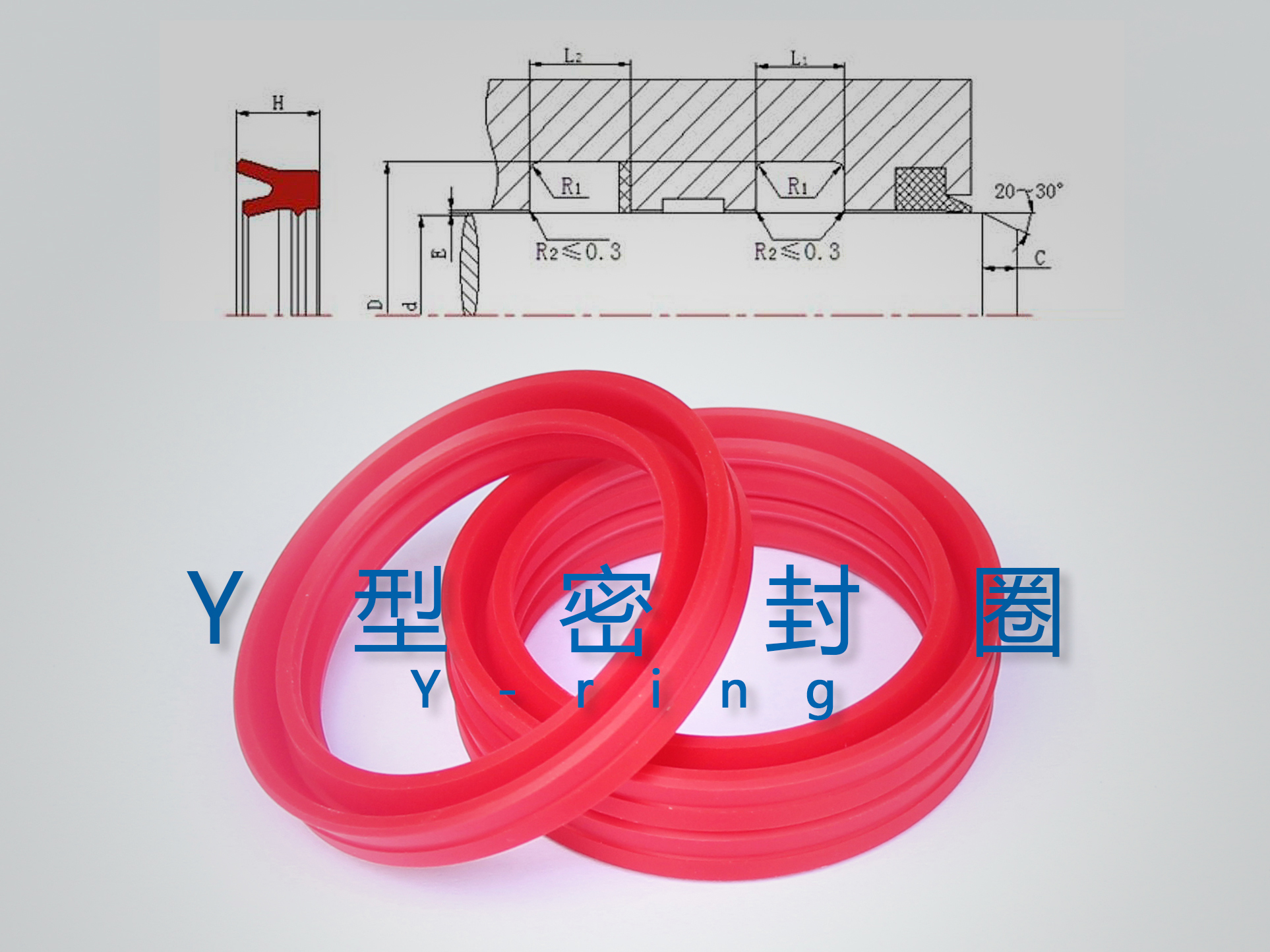 Y型密封圈（密封件、油封）與截面結構產品圖