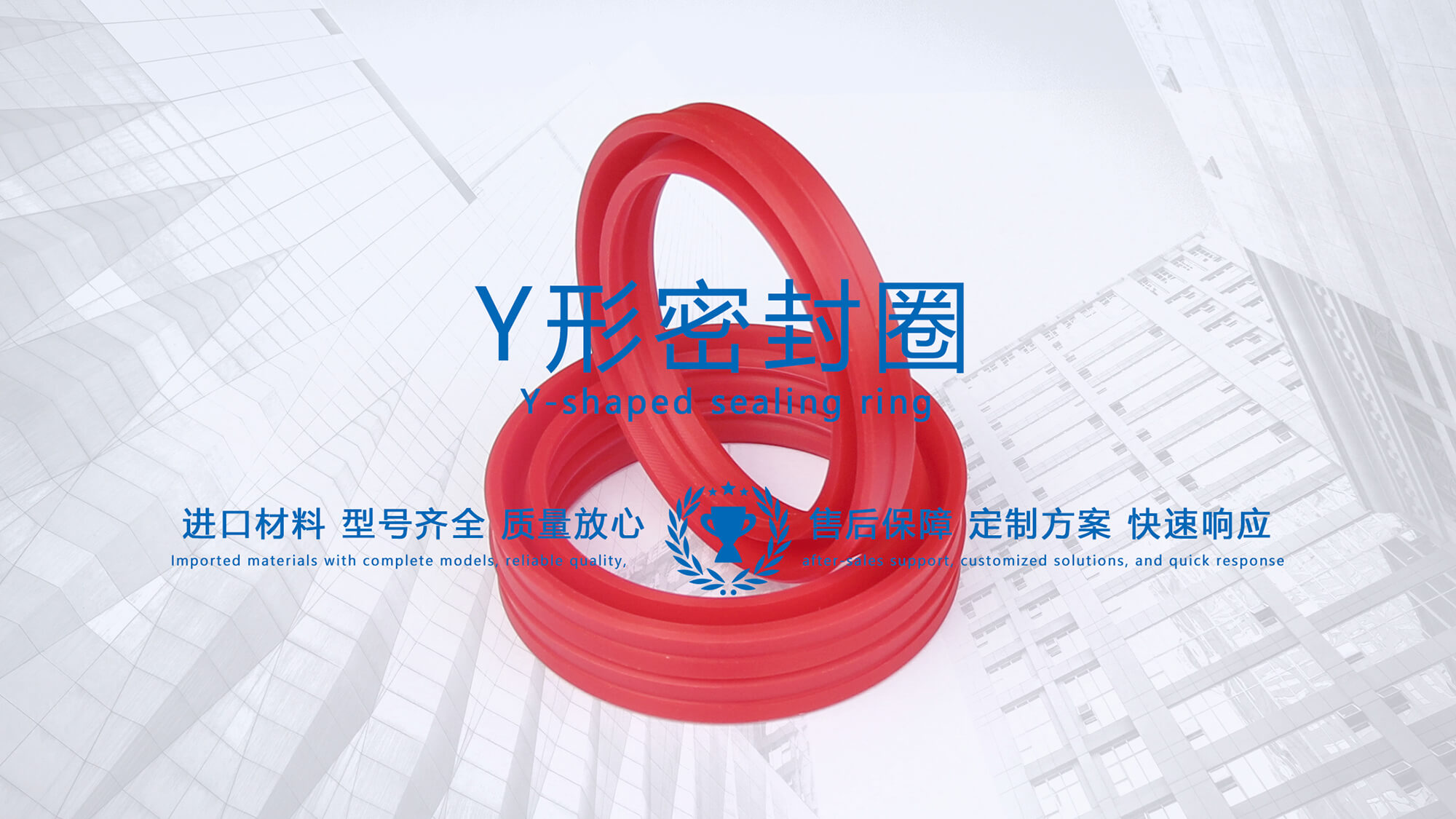 y型密封圈（又Y形密封圈，Y形圈，Y型圖或唇形密封圈，密封件油封膜片） (3)